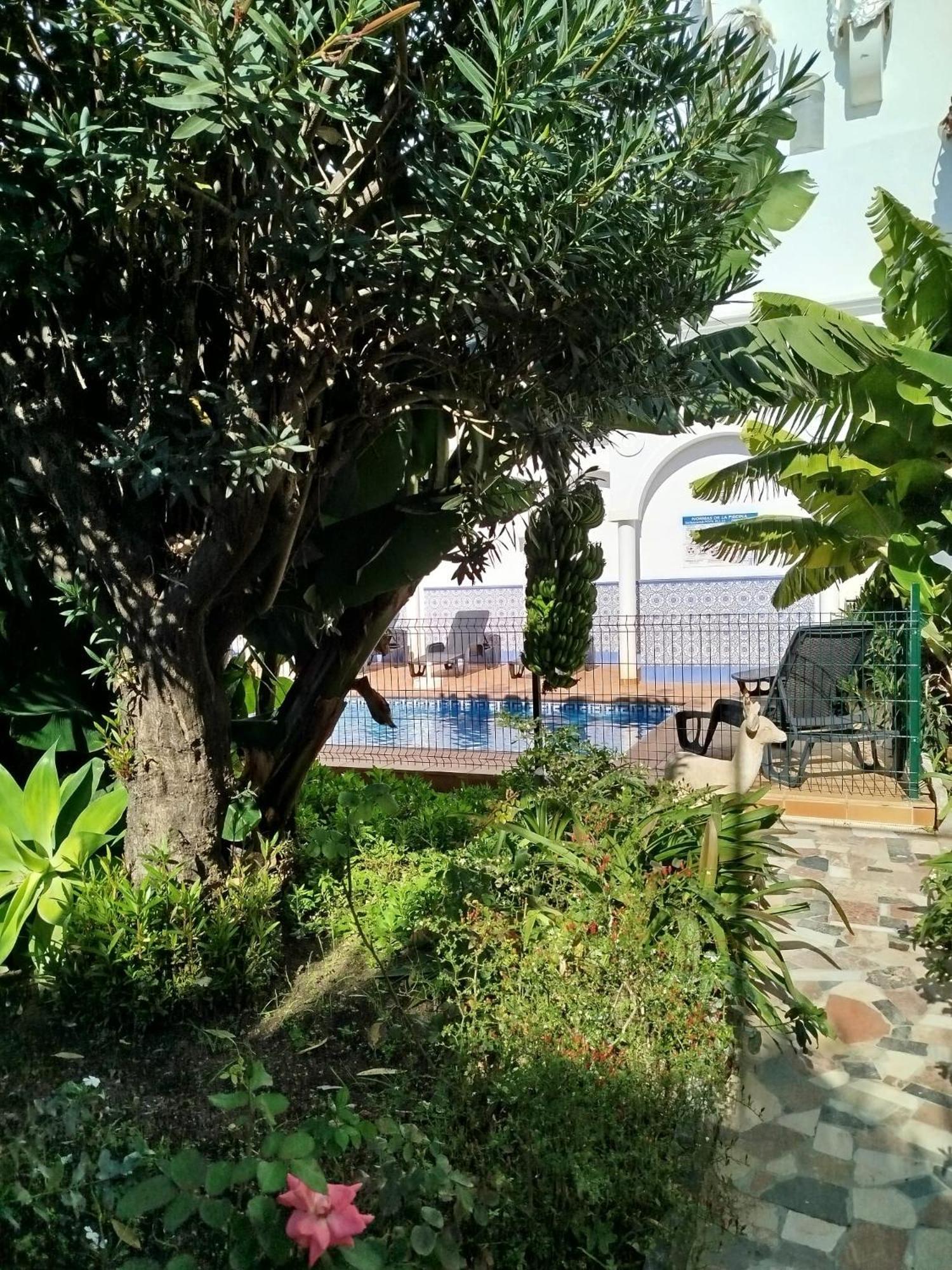Apartament El Jardin Benerja Zewnętrze zdjęcie